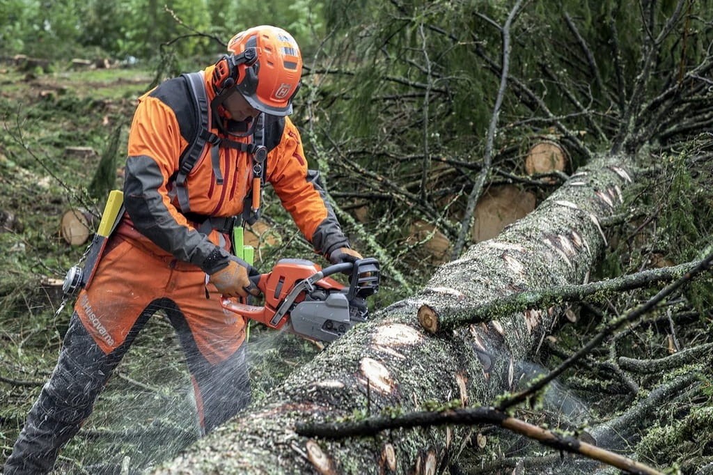 Przecinanie kłody leżącej na ziemi pilarką Husqvarna 550 XP Mark II