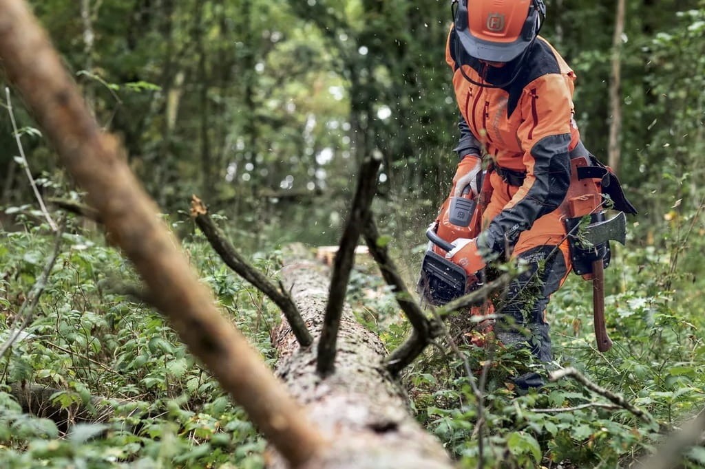 Praca w lesie - ścinka drzewa pilarką Husqvarna 550 XP Mark II