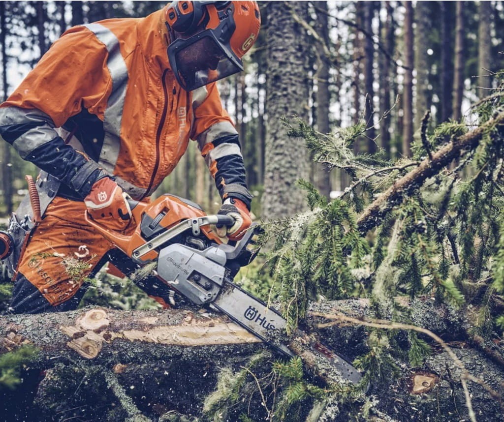Pilarka Husqvarna 562 XP w akcji - ścinanie drzewa w lesie (system Air Injection)