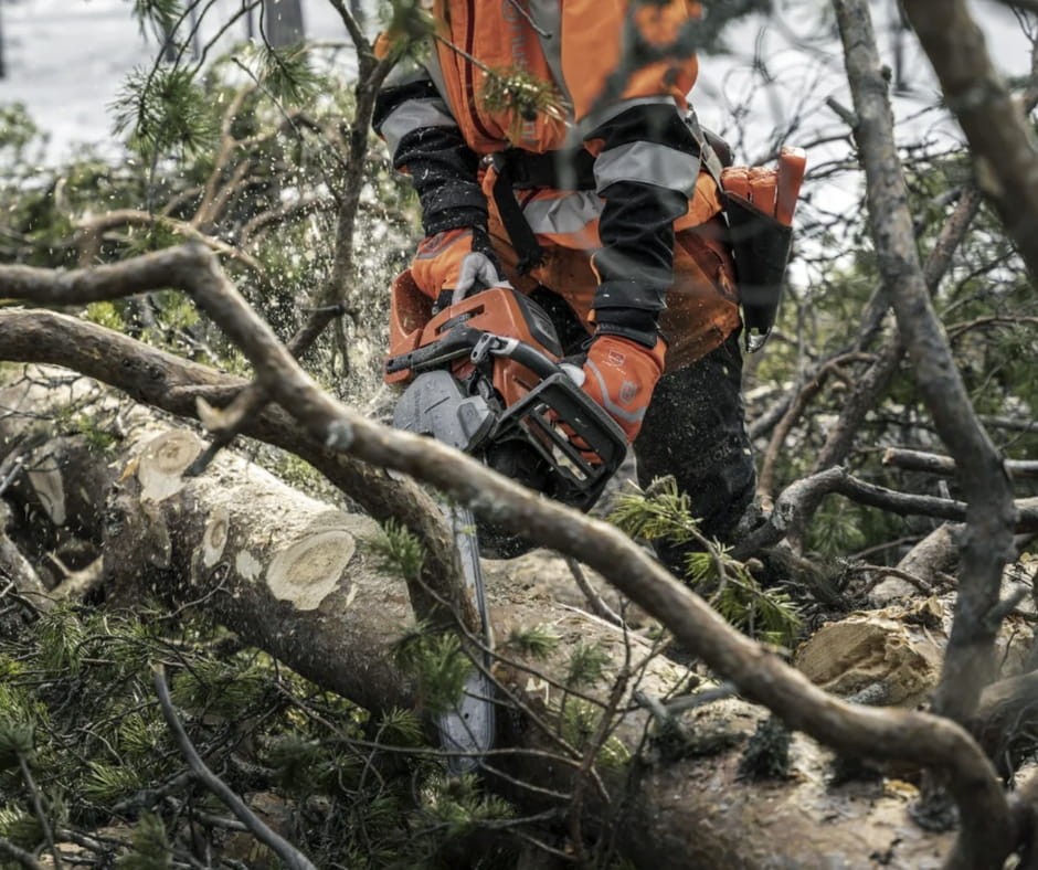 Cięcie grubego pnia powalonego drzewa piłą z łańcuchem Husqvarna
