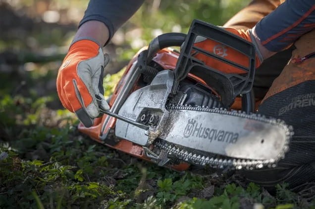Cięcie kłody drewna pilarką Husqvarna 455 Rancher w lesie