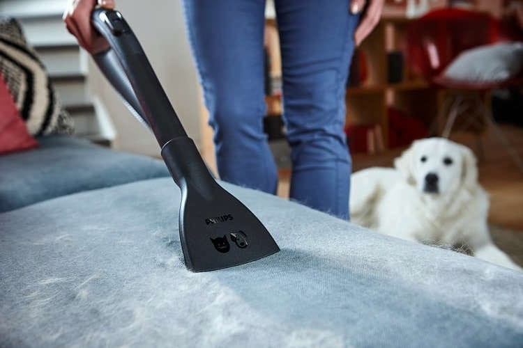 Usuwanie sierści z kanapy za pomocą odkurzacza Philips FC8240